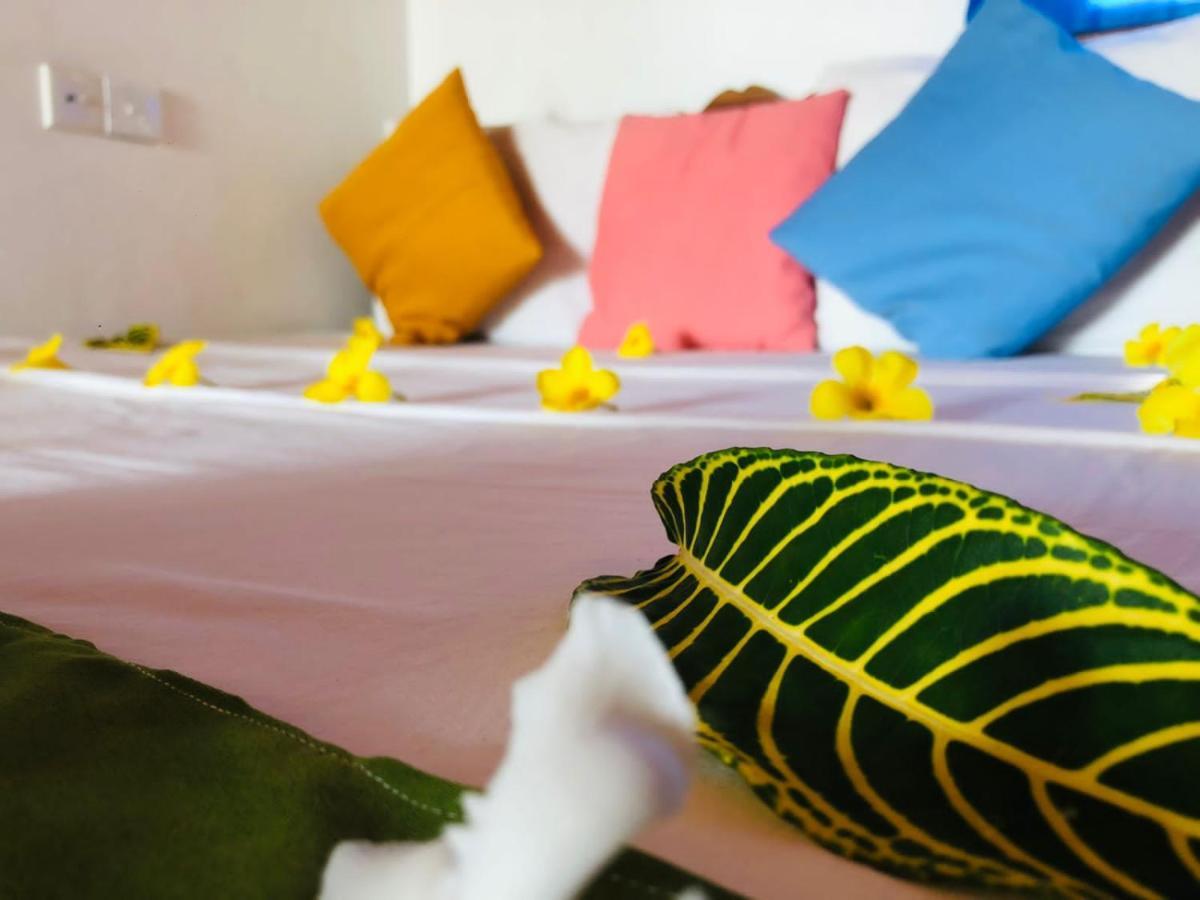 Rock Paradise Beach Hotel & Restaurent Tangalle Luaran gambar